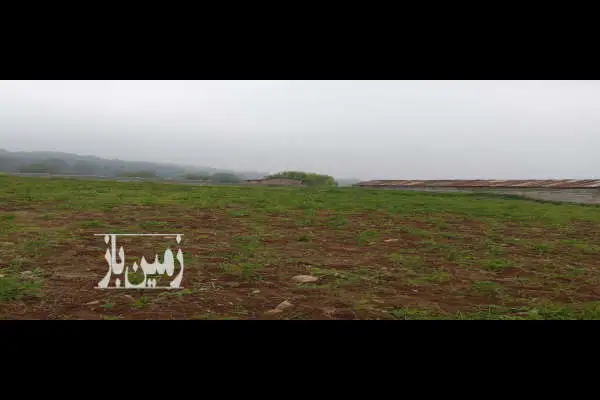 زمین ۵۰۰ متر چهار دانگه روستای نرگس زمین - تصویر 3