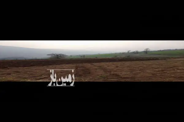 زمین ۵۰۰ متر چهار دانگه روستای نرگس زمین - تصویر 4