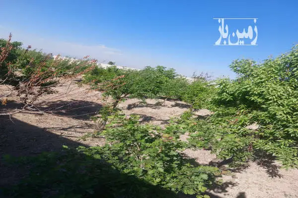 باغ دیوارکشی شده ۴۸۵ متر سند تک برگ بیدگنه - تصویر 2