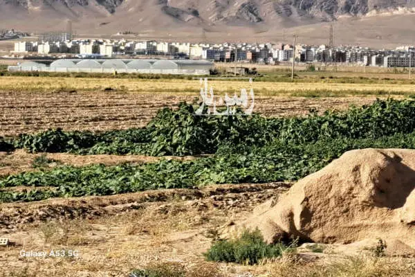 ۱۵۰۰متر تغییر کاربری دادم امتیاز اب برق - تصویر 2