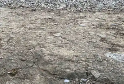 زمین روستای میان گلرودبار ۱۰۰۰ متری بر جاده اصلی