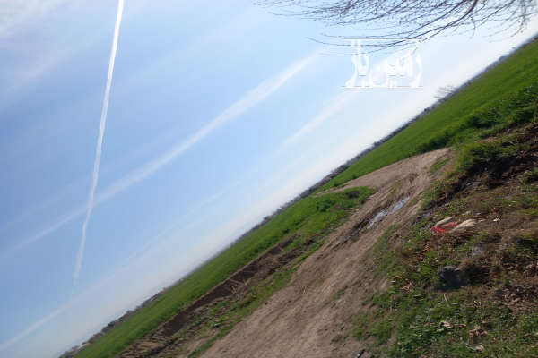 زمین کشاورزی به متراژ ۴ هزار متر همراه آب روستای حلال اباد-1