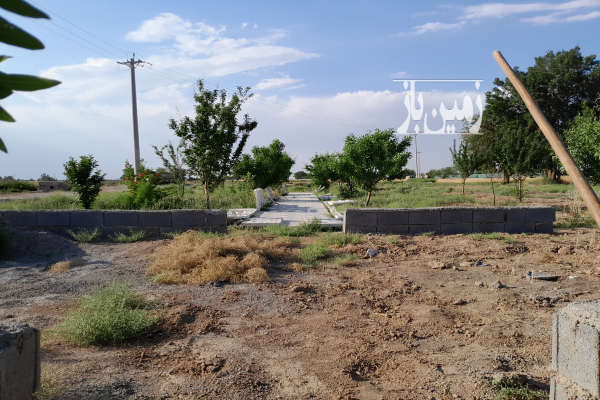 باغ فروشی ۸۵۰ متر بادرختان ۴ ساله واب از چاه-1