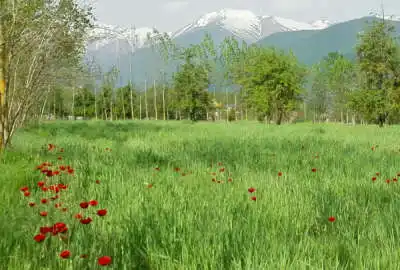 ۱۳۴۵۶ متر زمین همراه با چشمه آب معدنی در کلاردشت