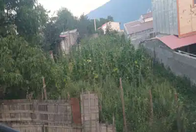 زمین ۲۴۰ متر شمال سوادکوه روستای کارمزد بالا محل
