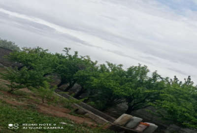 باغ ۲۷۰۰ متری در ایلخچی روستای کردلر