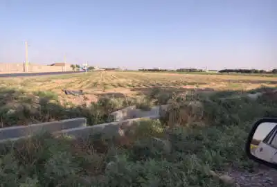 زمین کشاورزی ۵ هزارمتر مناسب گلخانه همراه آب