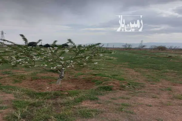 باغ بادام بارده در ابهر خرمدره سند دار ۲۷۰۰ متر۲۷۰۰ متر - تصویر 2