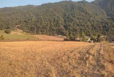 ۶ هزار متر زمین روستای منجلو با ویو عالی وجاده کوهستانی