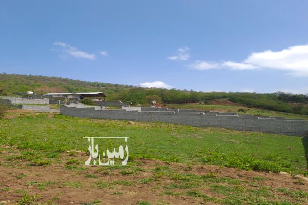 زمین ۱۵۰ متر با ویوی عالی در سوادکوه روستای کارمزد-3