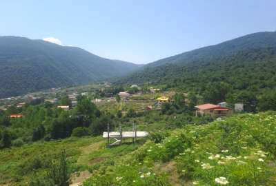 زمین ۱۲۵ متری با ویوی عالی در سوادکوه