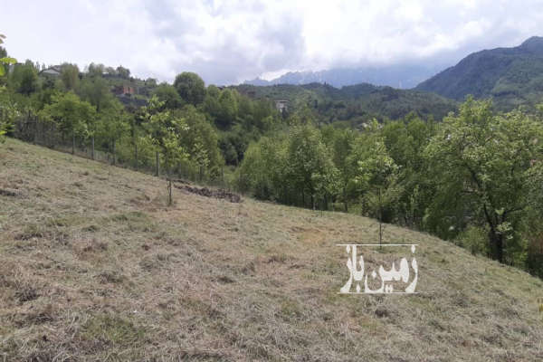 زمین مسکونی به متراژ ۷۰۰ متر در روستای زیبا پاجی میانا-4