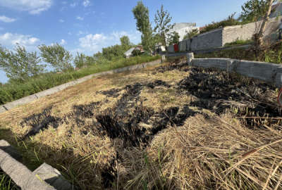 زمین با قابلیت مسکونی در روستای لنگرود ۱۵ کیلومتری دریا