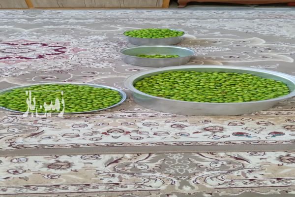 ۱۵۰۰ زمین و باغ داری حدودا ۱۰۰ درخت بارده واستخر هزار لیتری-2