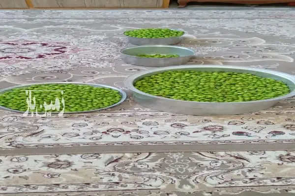 ۱۵۰۰ زمین و باغ داری حدودا ۱۰۰ درخت بارده واستخر هزار لیتری - تصویر 2