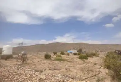 باغ شهری زرجان فسا گلستان چهار تک لاین