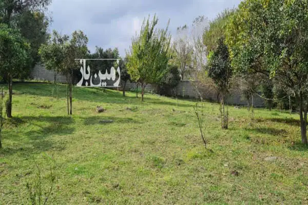 ۸۷۰۰ متر زمین مسکونی رویان سند تک برگ قطعه بندی شده آب برق گاز - تصویر 3