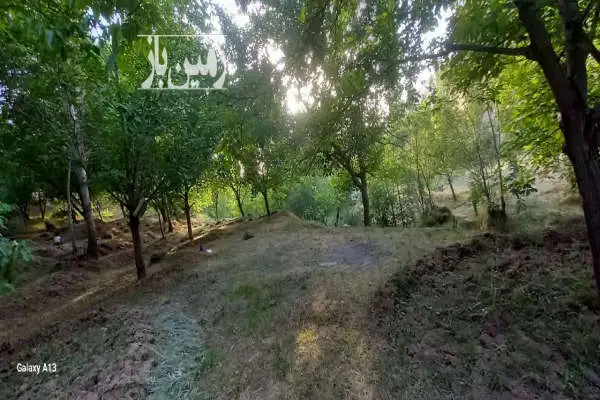 زمین باغی واقع در هفت چشمه ۴۰۰ متری - تصویر 2