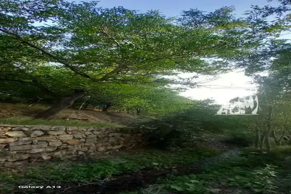 زمین باغی واقع در هفت چشمه ۴۰۰ متری - تصویر 4