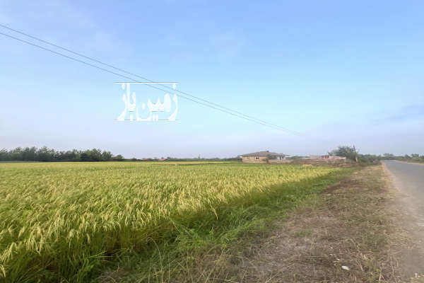 فروش بیجارحاصلخیز در بهترین نقطه روستای چیران-1