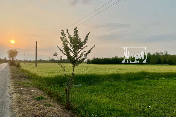 فروش بیجارحاصلخیز در بهترین نقطه روستای چیران-3