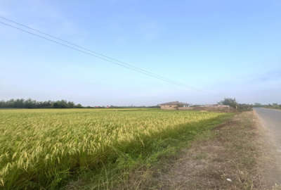 فروش بیجارحاصلخیز در بهترین نقطه روستای چیران