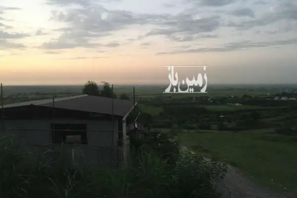 فروش باغ ۱۲۵۵متر بام آمل پلاک یک جنگل - تصویر 2
