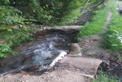 یک قطعه باغ انگور و میوه و زمین کشاورزی