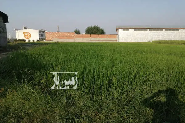 زمین کشاورزی در جاده ساری به نکا ۱۰۰۰ متر - تصویر 2