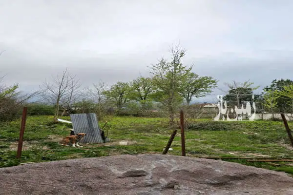 ۱۵۰۰متر زمین در روستای زیبا دوبخشر - تصویر 2