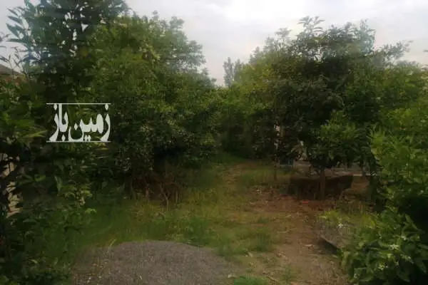 فروش ۱۰۰۰ متر زمین مسکونی با باغ میوه - تصویر 2