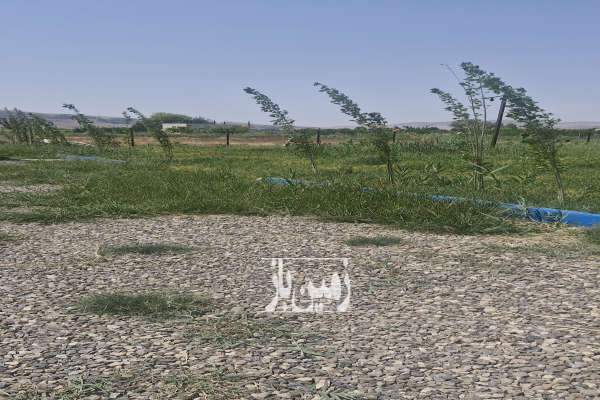 زمین ما بین روستای رند و قره تپه از آسفالت ۳۰۰ متر فاصله دارد-4