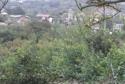 زمین ۱۵۶۰ متر در روستای قادیکلای قایمشهر