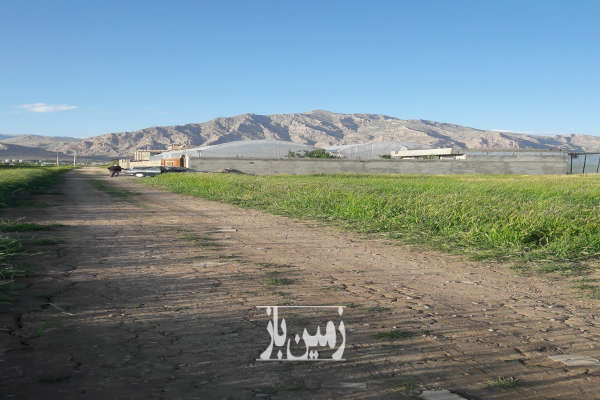فروش زمین ۱۱۰۰ متر کهریز الهیه کرمانشاه-1