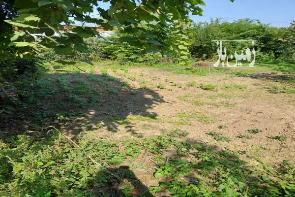زمین بافت مسکونی در شرفدارکلا روستای تپه سر ۴۶۱ متر - تصویر 3