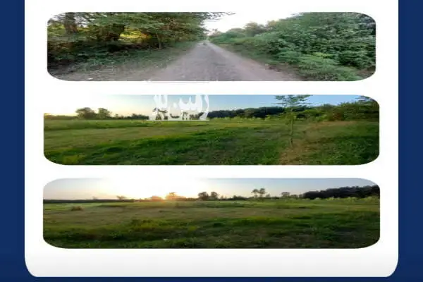 زمین باغی برجاده ۴۰ متری برداره مستطیل کامل در چمندان - تصویر 3