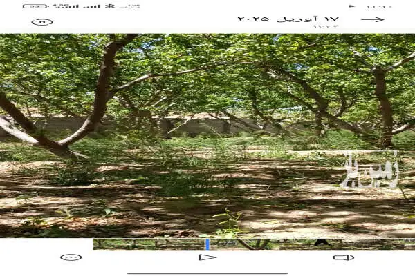 ۳۰۰۰ متر باغ واقع در صحرای پشت قعله - تصویر 2