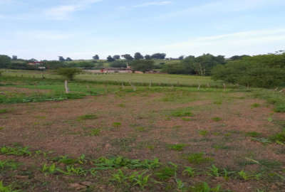 زمین ۱۵۰ متر مسکونی ساری چهاردانگه روستای سرخ ولیک
