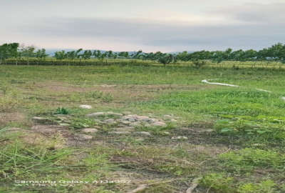 زمین در روستای لمر سفلی واقع دربخش اسالم ۲۰۰ متر