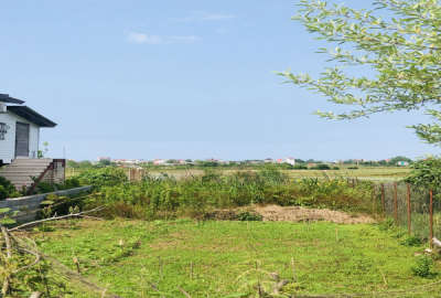 زمین مسکونی ۲۳۷ متری در کلاچای (نوده )