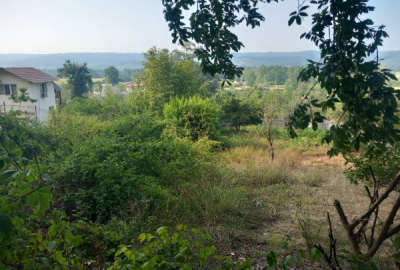 زمین در سواد کوه روستای سیدکلا به متراژ ۳۶۰ با بر ده
