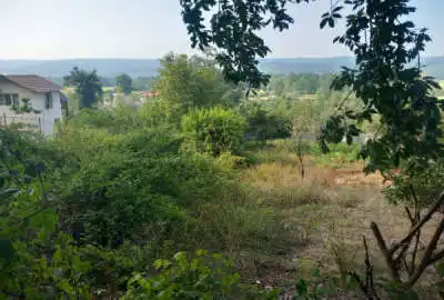 زمین در سواد کوه روستای سیدکلا به متراژ ۳۶۰ با بر ده
