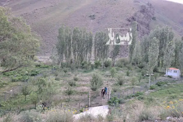 زمین باغ در روستای وارنگه رود دیزین ۱۱۴۳ متر - تصویر 2