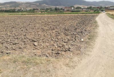 زمین به متراژ ۱۳۵۰ واقع در روستای القجر