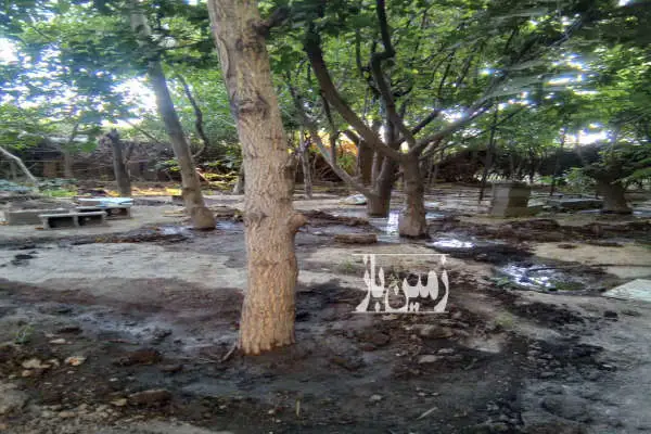 زمین چهار دیواری دارای برق اب سند دفترچه ای در گلشهر - تصویر 3