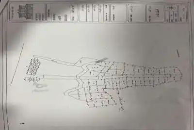 زمین مسکونی ۲۱۴ متر شهر چالوس منطقه علویکلا