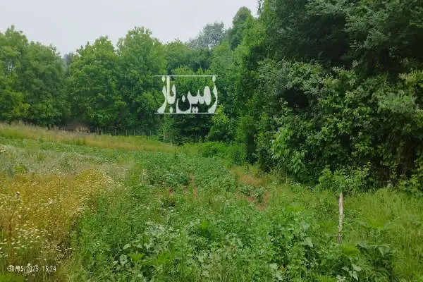 زمین باغی ویلایی دودانگه روستای سرکام - تصویر 2