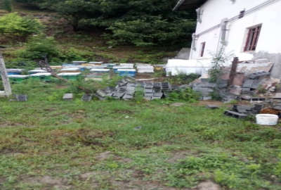 زمین مسکونی لفور روستای دهکلان زمین جنگلی
