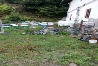 زمین مسکونی لفور روستای دهکلان زمین جنگلی