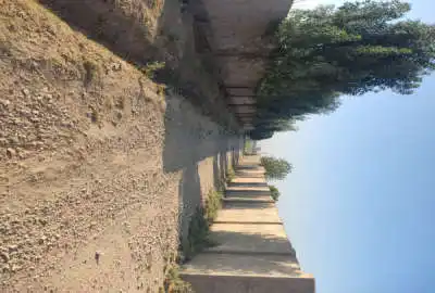 زمین چهار دیواری مناسب باغچه قیمت مناسب